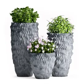 PLANT SET